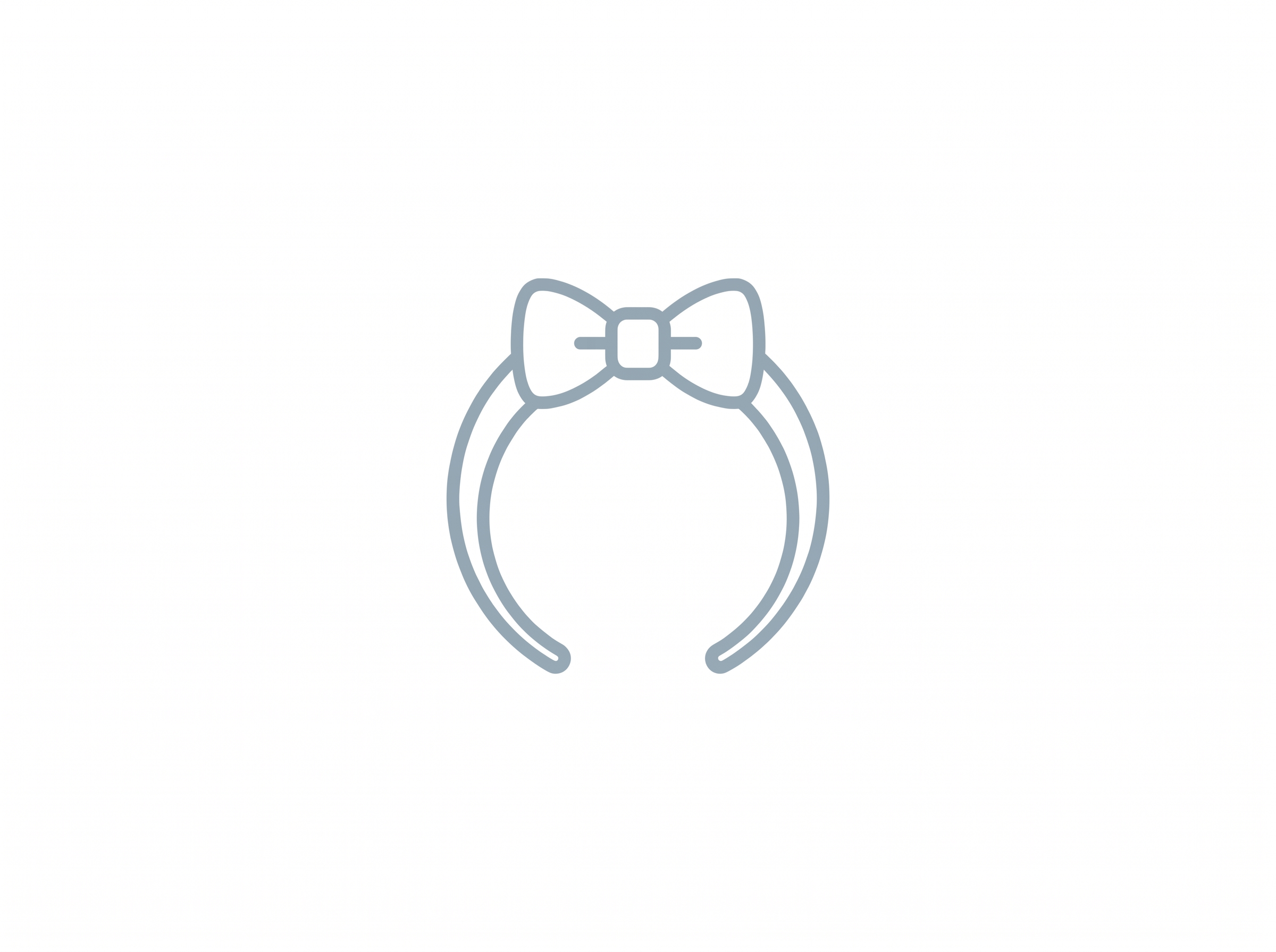 accessory preview